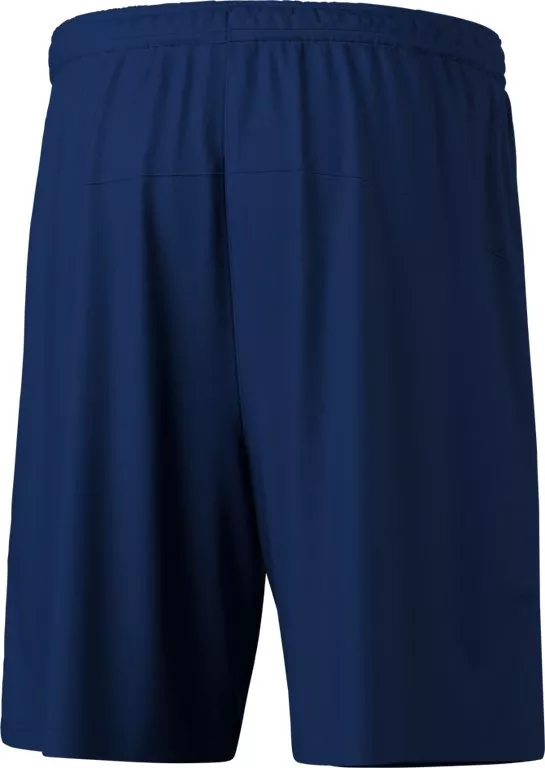 Korte broeken Erima TEAM Shorts