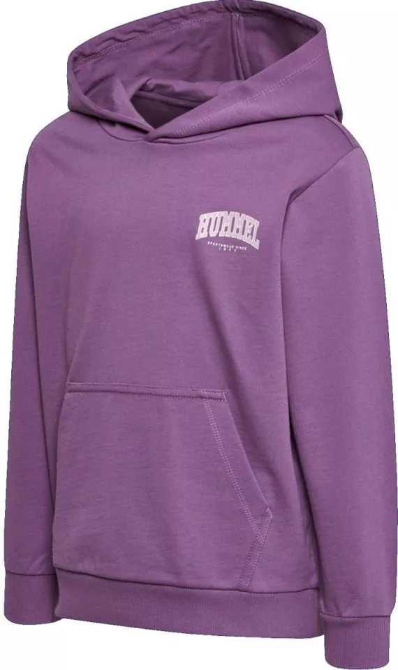 Dětská volnočasová mikina s kapucí Hummel Fast