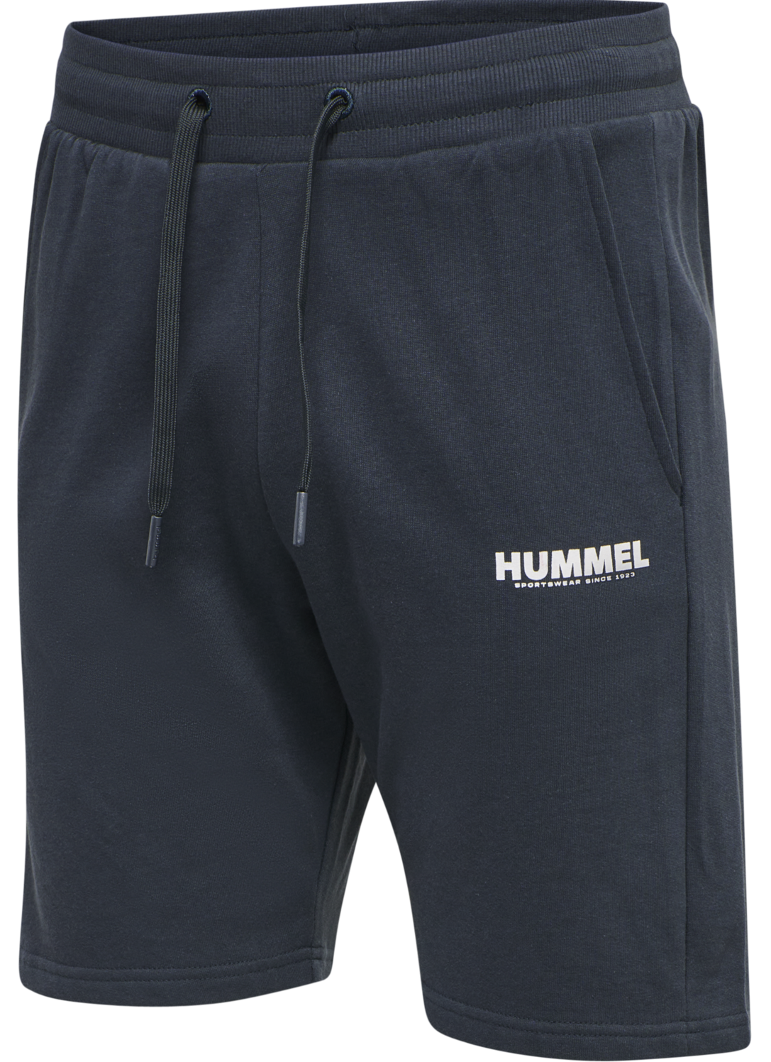 Pantalón corto Hummel HMLLEGACY SHORTS PLUS