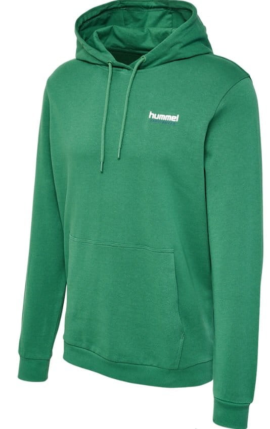 Sweatshirt med hætte Hummel hmlLGC GABE HOODIE