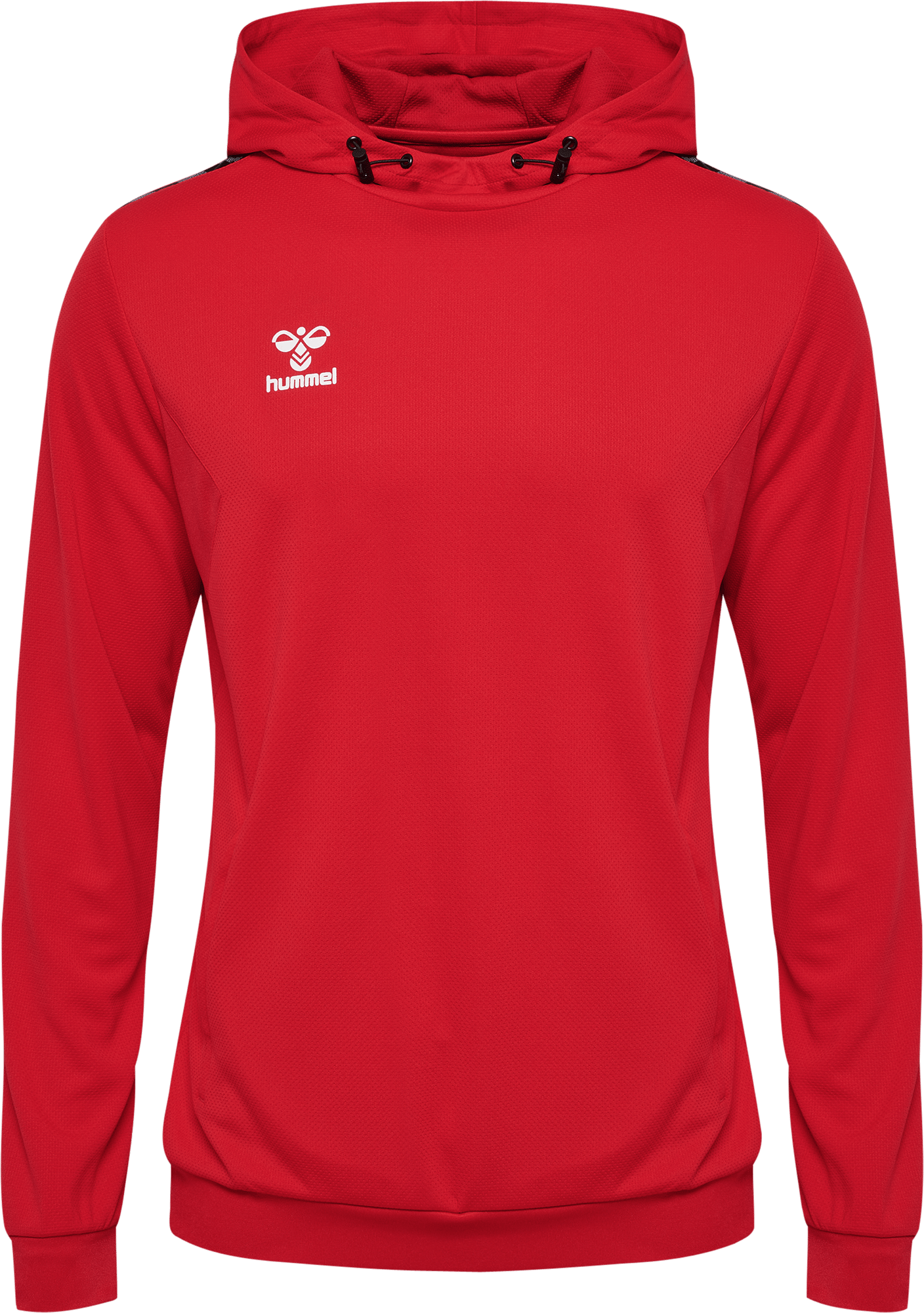 Sudadera con capucha Hummel HMLAUTHENTIC PL HOODIE