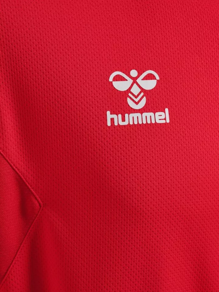 Sudadera con capucha Hummel HMLAUTHENTIC PL HOODIE