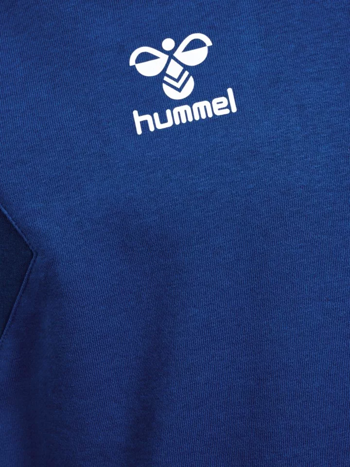 Pánské sportovní tričko s dlouhým rukávem Hummel hmlAUTHENTIC CO TRAINING