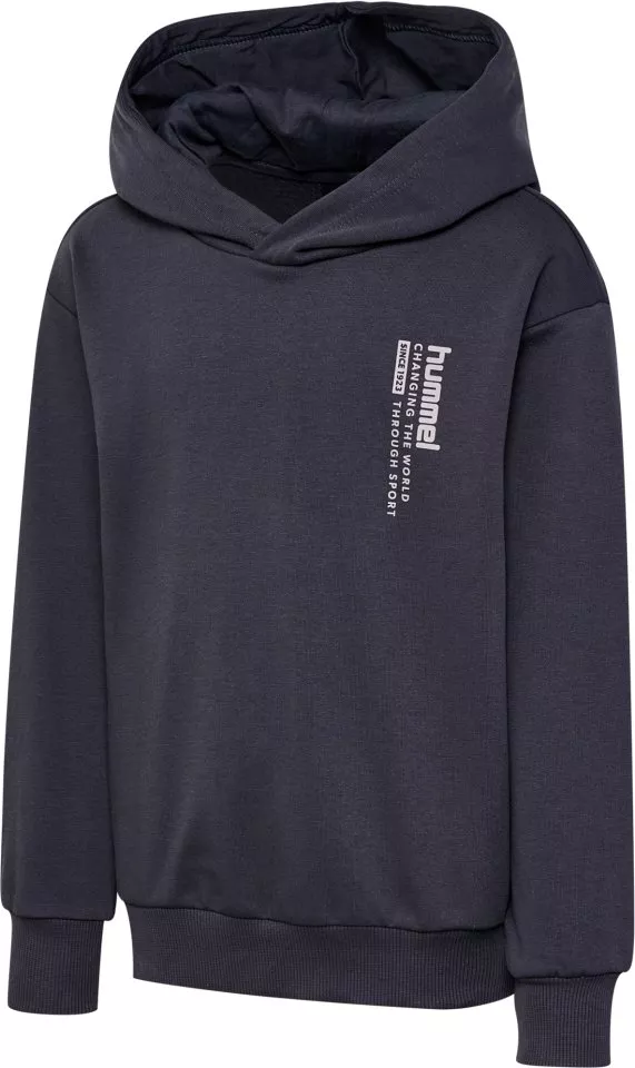 Sudadera con capucha Hummel hmlDANTE HOODIE
