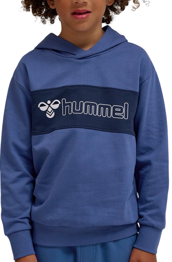 Sudadera con capucha Hummel Atlas Hoody Kids