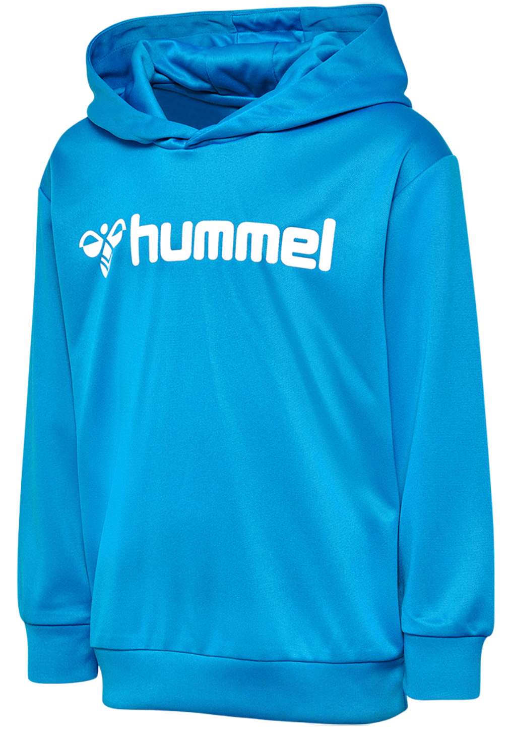 Mikina s kapucňou Hummel hmlLOGO HOODIE KIDS