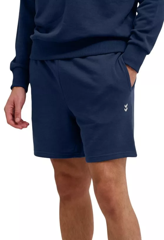 Σορτς Hummel hmlPULSE Short