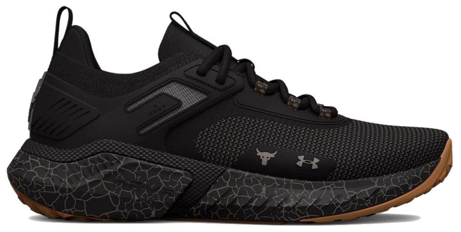 Fitness shoes Under Armour UA Project Rock 5 Home Gym-BLK