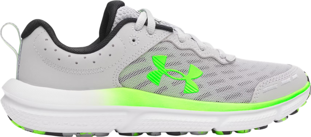 UA BGS Assert 10