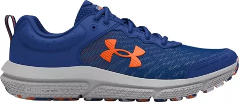 UA BGS Assert 10