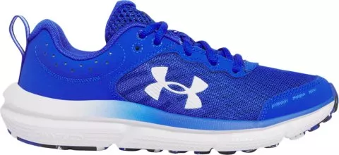 UA BGS Assert 10