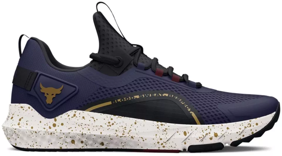 Fitness shoes Under Armour UA Project Rock BSR 3-BLU