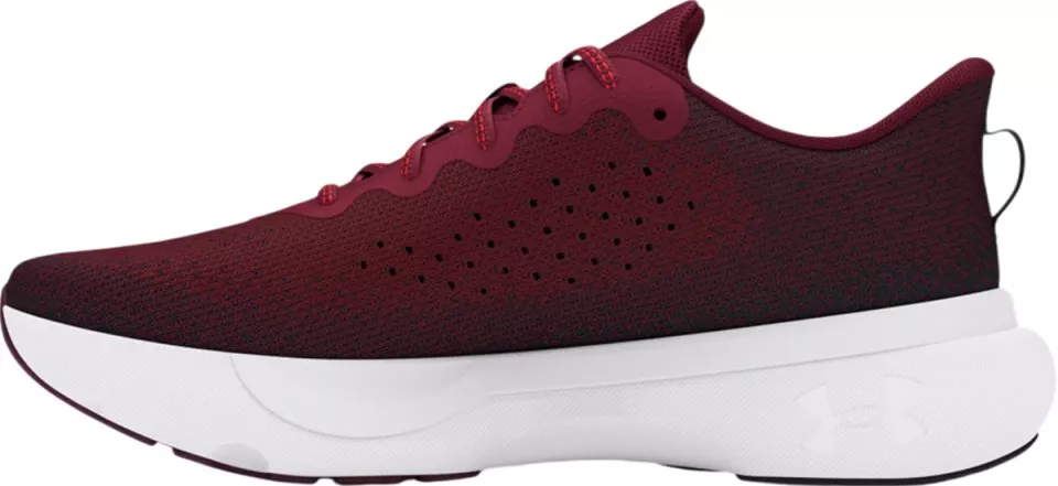 Laufschuhe Under Armour UA Infinite