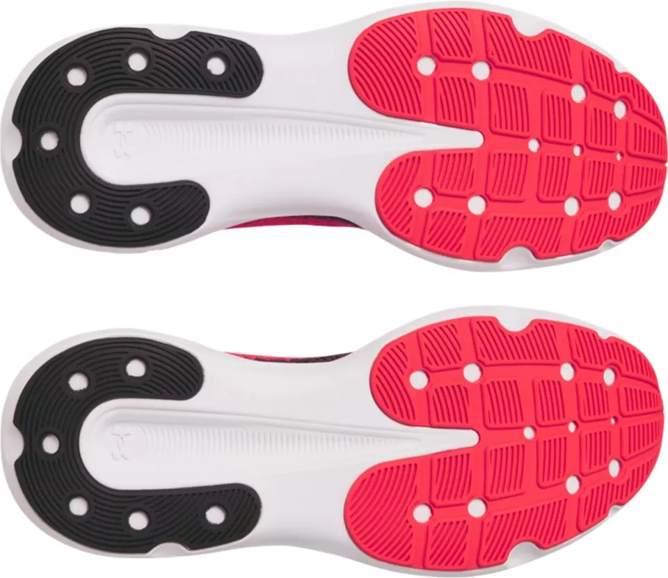 Laufschuhe Under Armour Infinite