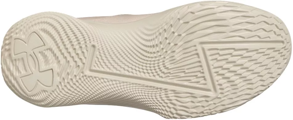 Buty do koszykówki Under Armour CURRY 1 Low Flotro Lux shoes
