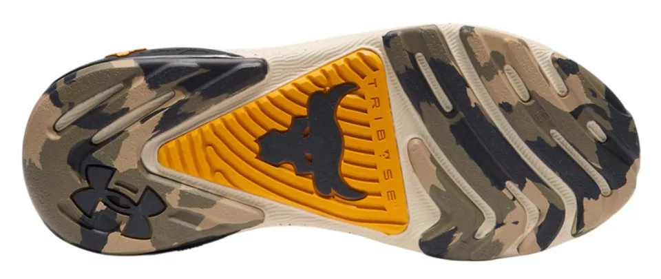 Παπούτσια για γυμναστική Under Armour UA Project Rock 7