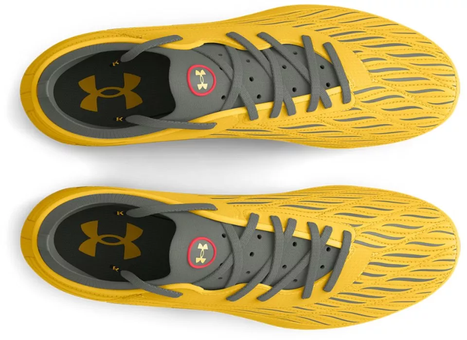Ποδοσφαιρικά παπούτσια Under Armour Magnetico Pro 4 FG