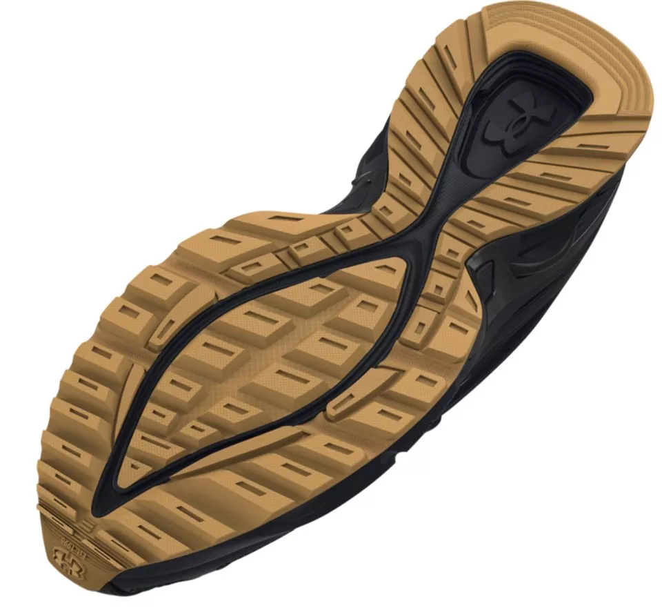 Schuhe Under Armour UA HOVR Apparition TSM