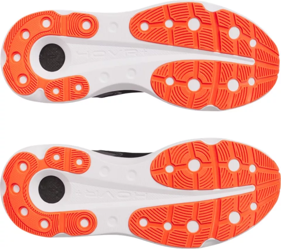 Hardloopschoen Under Armour Infinite Pro 2