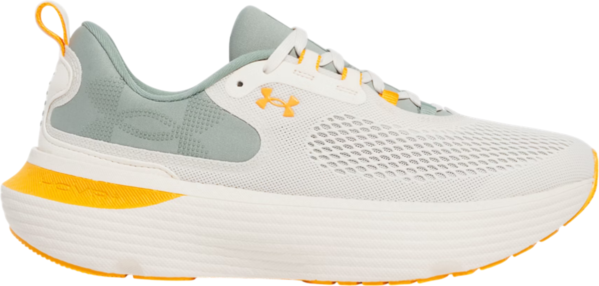 Laufschuhe Under Armour Infinite Elite 2