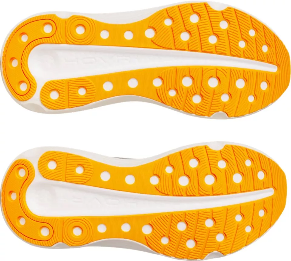 Laufschuhe Under Armour Infinite Elite 2