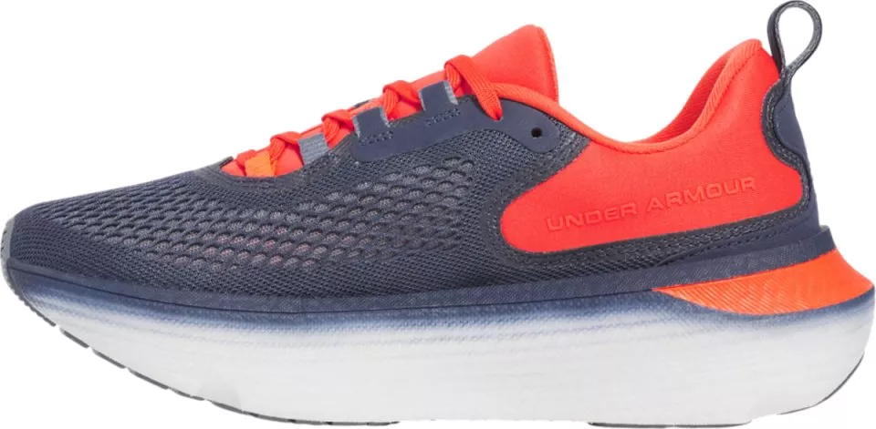 Laufschuhe Under Armour Infinite Elite 2