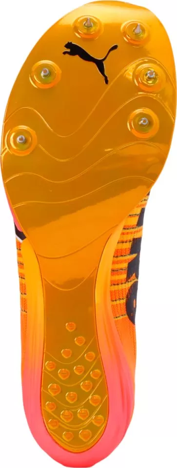 Sprinterice Puma evoSPEED Forte Nitro Elite