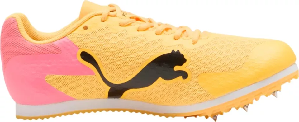Scarpe da atletica Puma evoSPEED Star 9