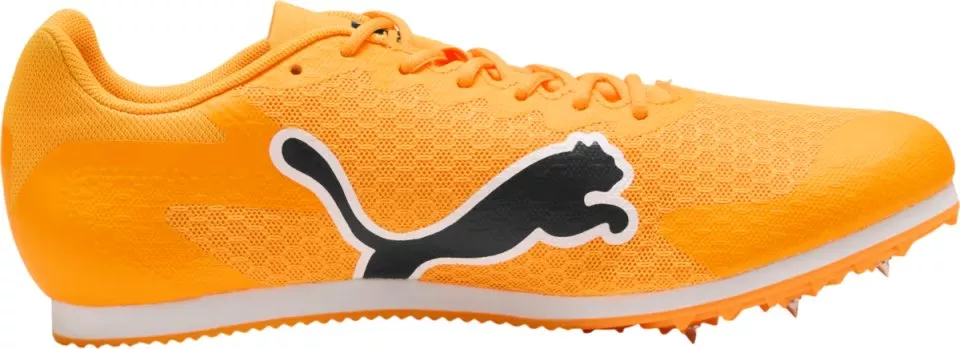 Track schoenen/Spikes Puma evoSPEED Star 9