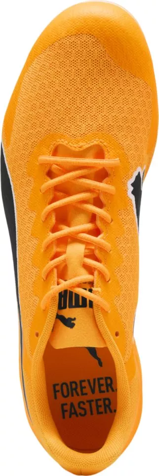Track schoenen/Spikes Puma evoSPEED Star 9