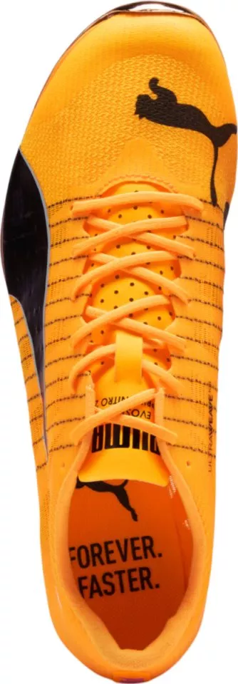 Παπούτσια στίβου/καρφιά Puma evoSPEED Sprint Nitro Elite 2