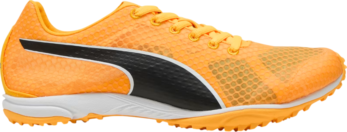 Scarpe da atletica Puma evoSPEED Haraka 8 Spikeless