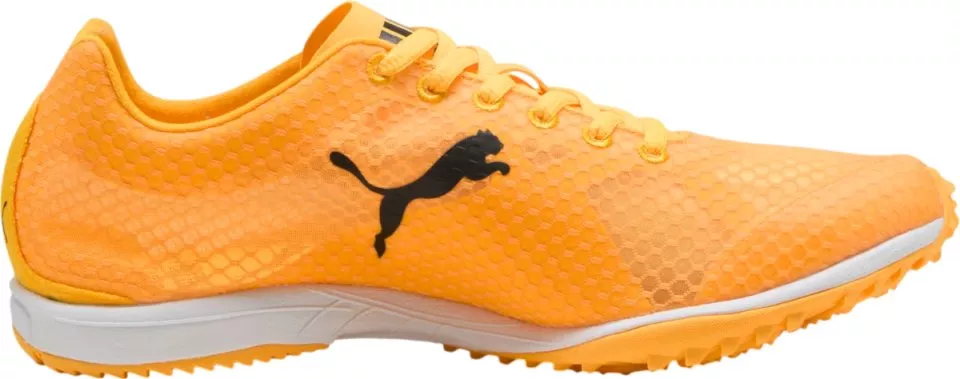 Scarpe da atletica Puma evoSPEED Haraka 8 Spikeless