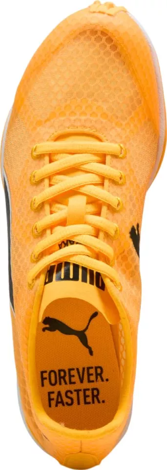 Track shoes/Spikes Puma evoSPEED Haraka 8 Spikeless Track shoes/Spikes Puma evoSPEED Haraka 8 Spikeless