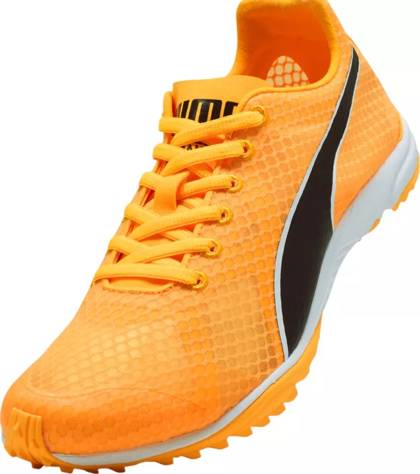Scarpe da atletica Puma evoSPEED Haraka 8 Spikeless