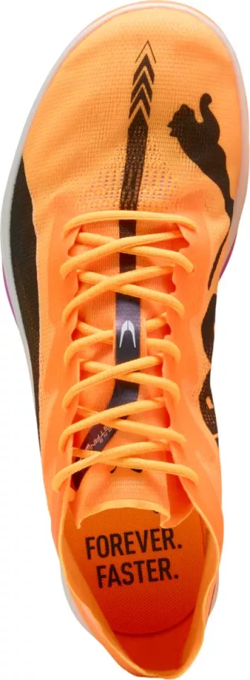 Spikes Puma evoSPEED Long Distance Nitro Elite 3