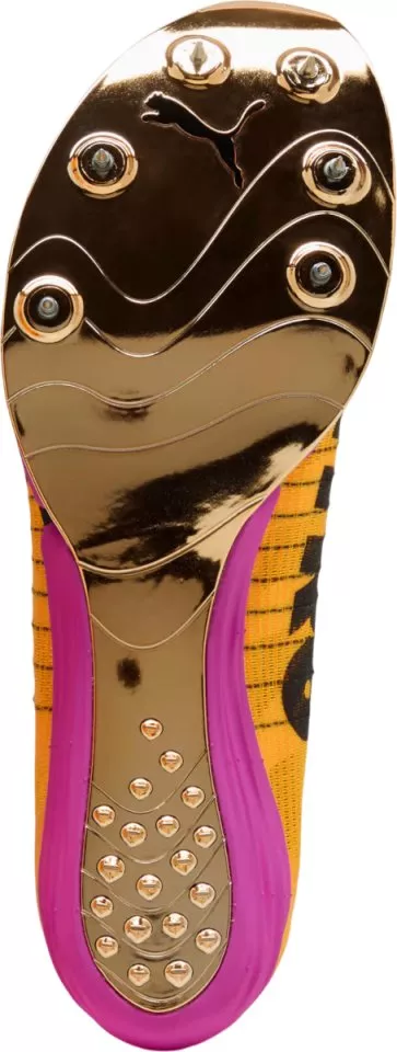 Spikes Puma evoSPEED Forte Nitro Elite