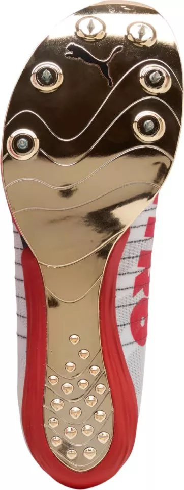 Spikes Puma evoSPEED Forte Nitro Elite