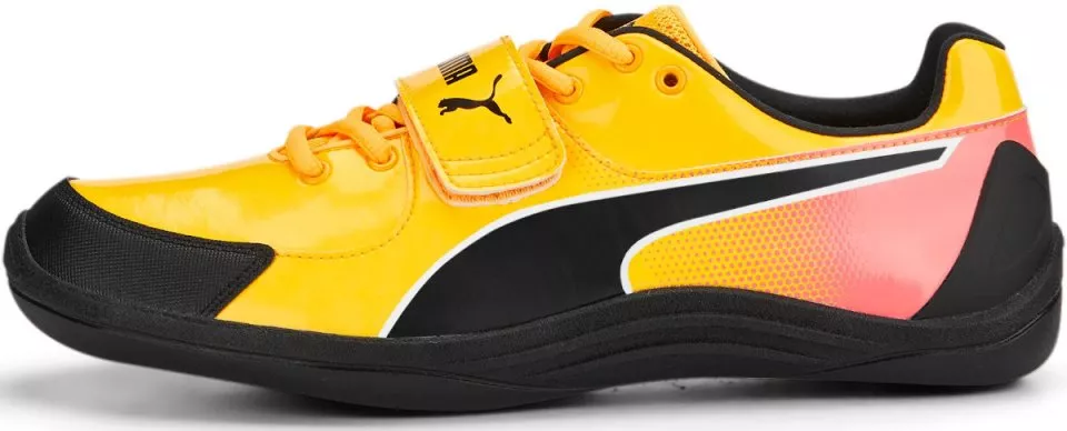 Puma evo se online