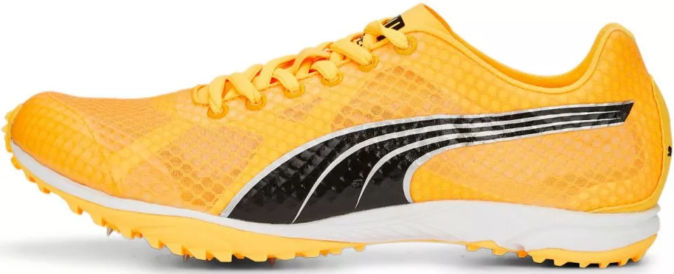 Track shoes Spikes Puma evoSPEED Haraka 7 Top4Running