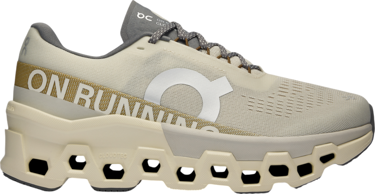 Laufschuhe On Running Cloudmonster 2