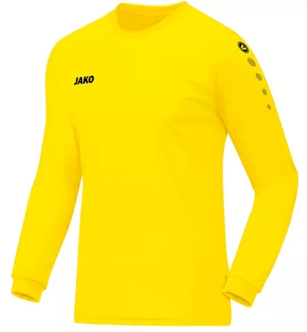 jako team jersey