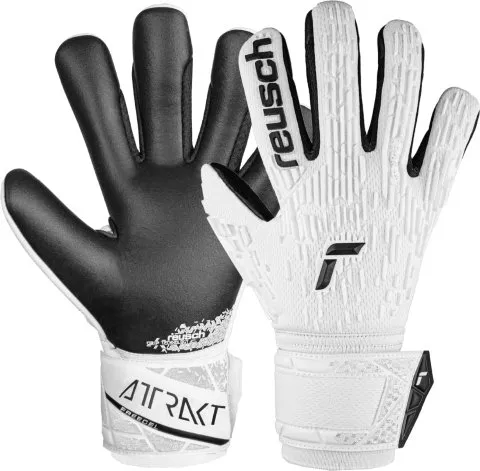 Reusch Attrakt Freegel Silver Shine Bright 2024