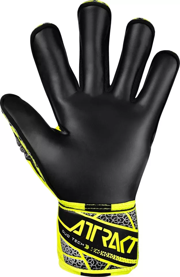 Goalkeeper's Reusch Attrakt Duo Evolution Goalkeeper Gloves
