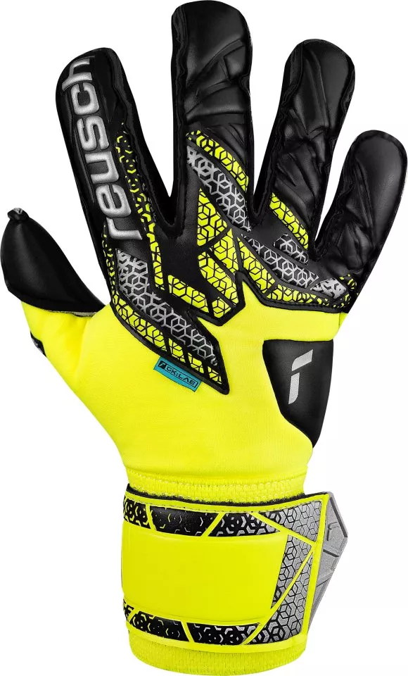 Goalkeeper's Reusch Attrakt Duo Evolution Goalkeeper Gloves