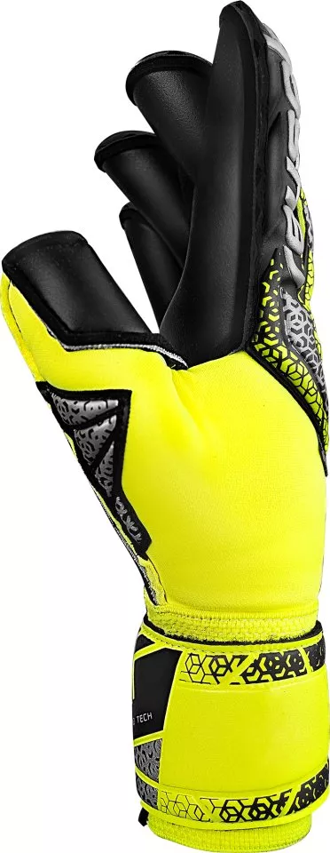Goalkeeper's Reusch Attrakt Duo Evolution Goalkeeper Gloves