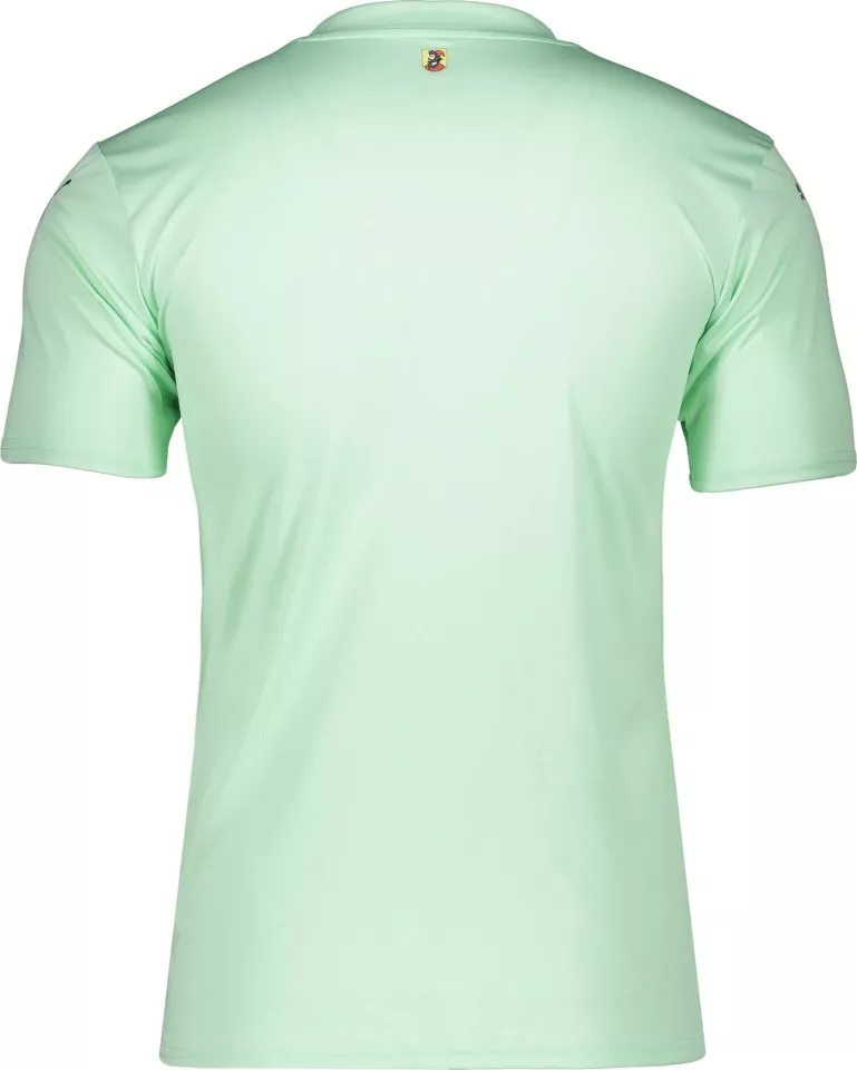 Tröja Puma 1. FC Heidenheim Goalkeeper Jersey Jr 2024/25