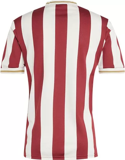 Риза adidas Originals 1. FC Nürnberg 125th Anniversary Special Jersey