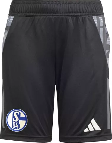 FC Schalke 04 shorts kids black