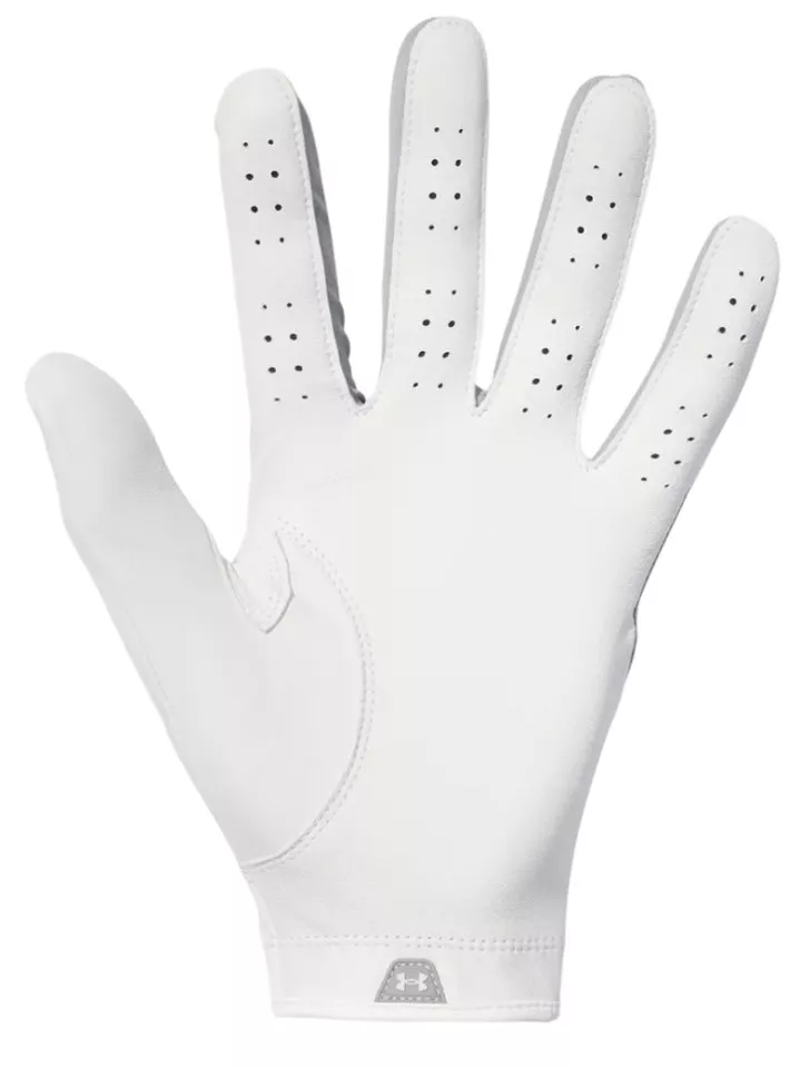 Handschuhe Under Armour Iso-Chill Pro Golf Glove